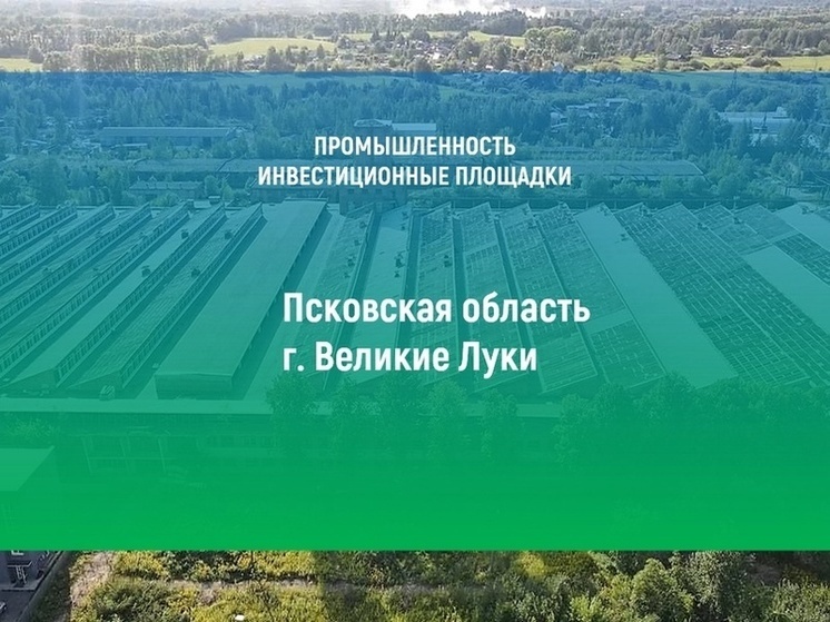 Новая инвестиционная площадка появится в Псковской области