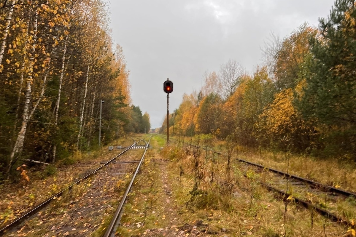 Трактор перекрыл движение на участке железной дороги в Тверской области