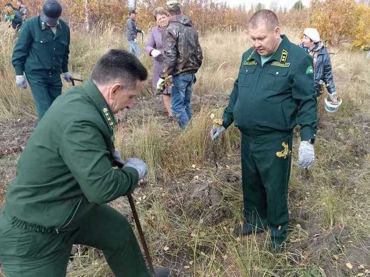 Пензенцы высадили около тысячи дубов в рамках акции «Сохраним лес»
