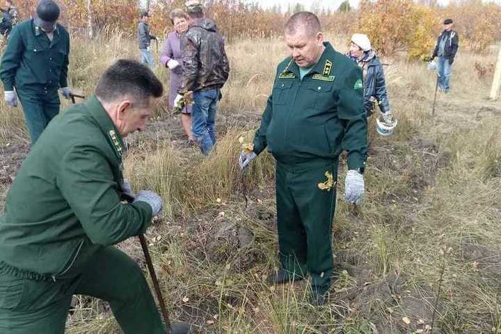 Пензенцы высадили около тысячи дубов в рамках акции «Сохраним лес»