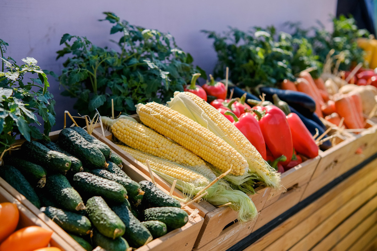 Роспотребнадзор рекомендовал волгоградцам есть 5 полезных овощей в октябре