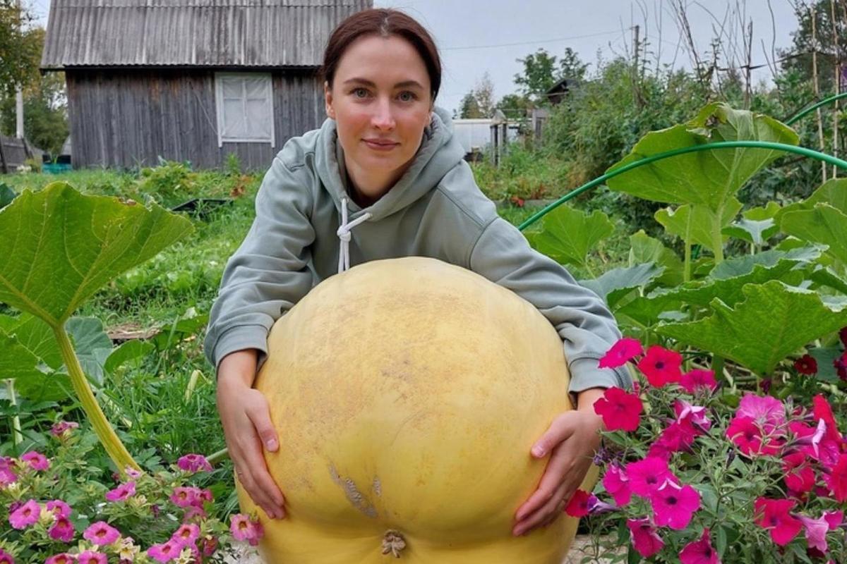 Жительница Архангельска вырастила тыкву весом 60 кг