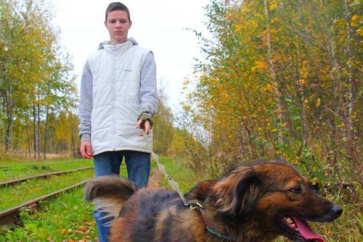 Серпуховская молодежь обустроила вольеры в приюте для животных
