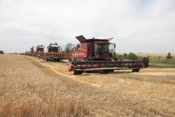 В Орловской области намолочено почти 3,6 миллионов тонн зерна
