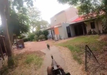 На арабских ресурсах активно распространяется видео, на котором боевики ХАМАС расстреливают из автомата собаку, а потом поджигают частный дом в израильском кибуце Беэри
