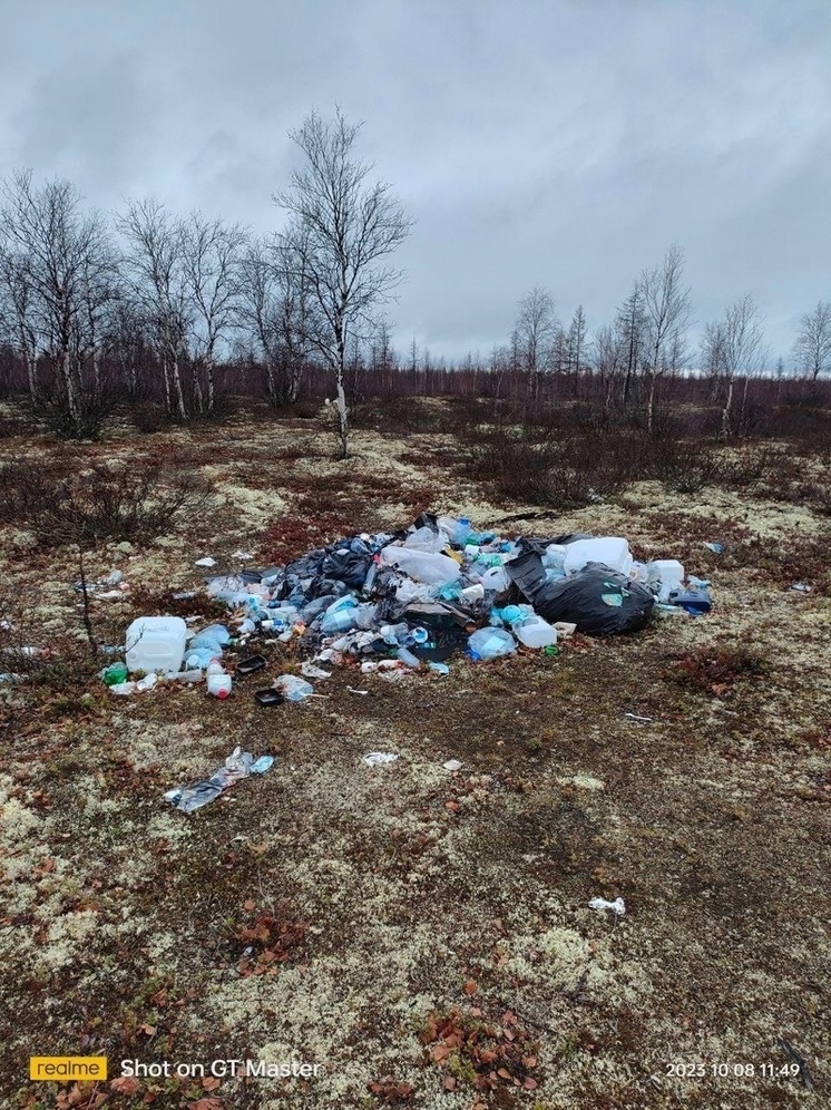 Неизвестные устроили несколько нелегальных свалок в тундре под Новым Уренгоем