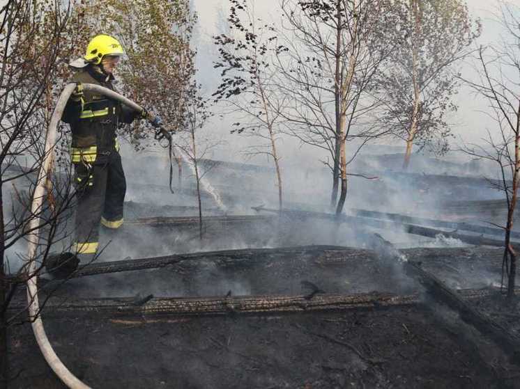 В Рязанской области из-за обрыва ЛЭП произошёл лесной пожар
