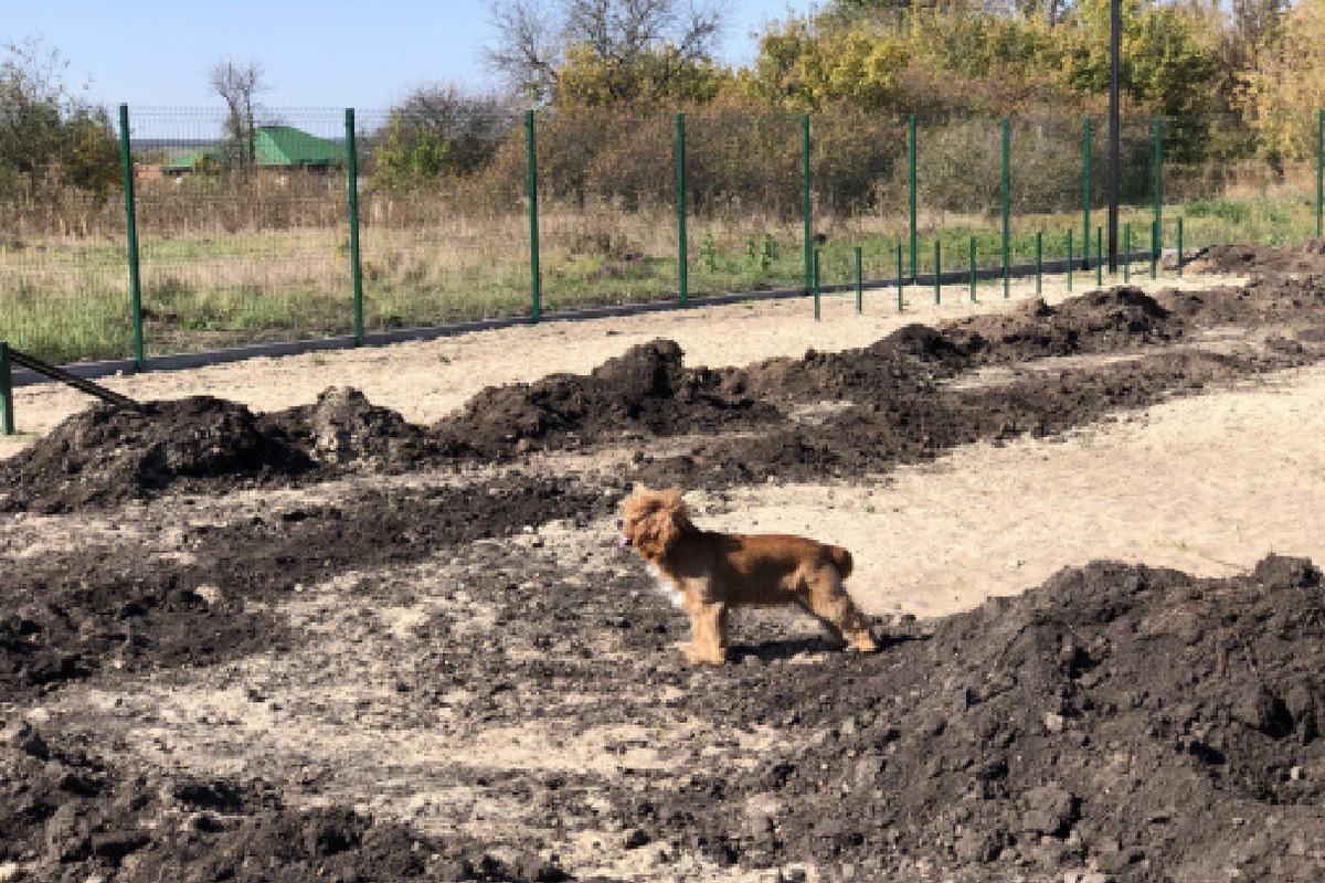 В городе Валуйки завершается строительство площадки для выгула собак