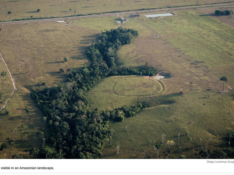 В глубине Амазонии нашли десятки ранее неизвестных земляных сооружений доколумбовой эпохи