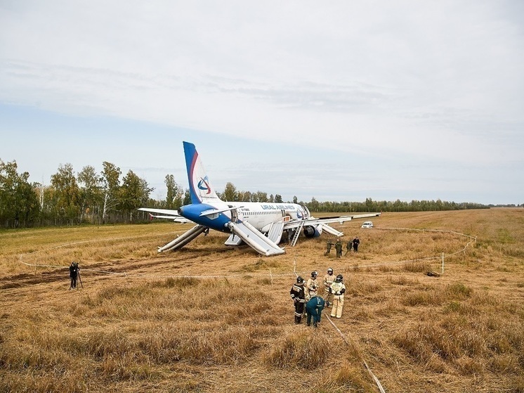 Хозяин пшеничного поля начал пахать землю вокруг Airbus A320 под Новосибирском