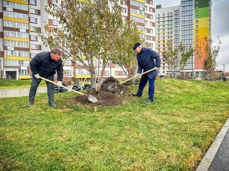 В Кирове улицу Чистопрудненскую планируют продлить до слободы Курочкины