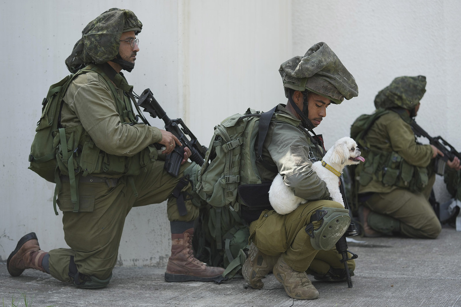 An Israeli soldier with a dog of the dead, grief in Gaza: images of the war are heartbreaking 