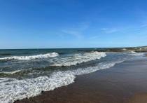 Пляжный отдых популярен у россиян в зимний период. Удачными направлениями для отпуска остаются Куба, Индия, Таиланд, Мальдивы и Шри-Ланка, рассказала тревел-блогер Наталия Ансталь.