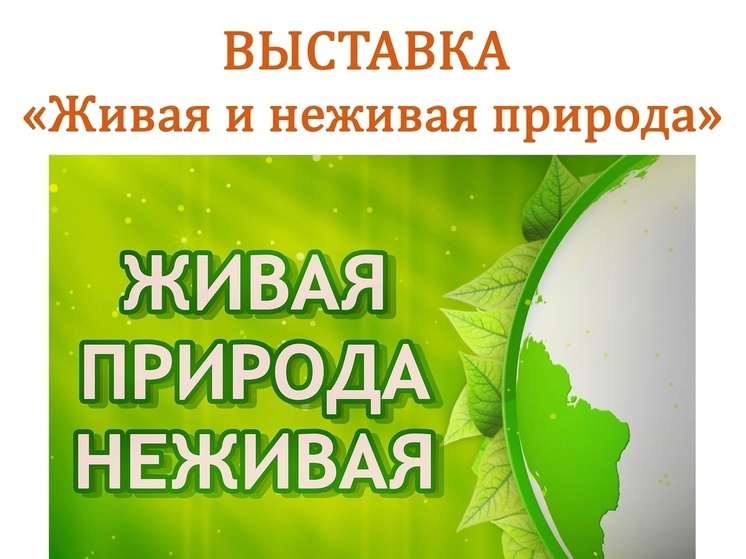 12 октября в Курском краеведческом музее состоится открытие выставки «Живая и неживая природа»