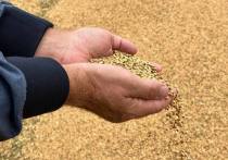 В Московской области поставили рекорд по сбору зерна