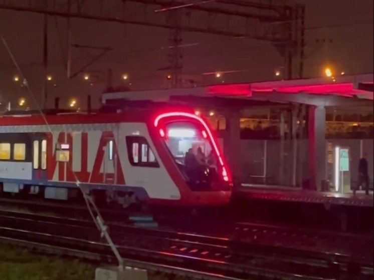 На подмосковной электричке заметили группу подростков-запецеров