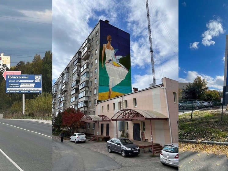 Мурал с картиной Федора Конюхова появится в Миассе