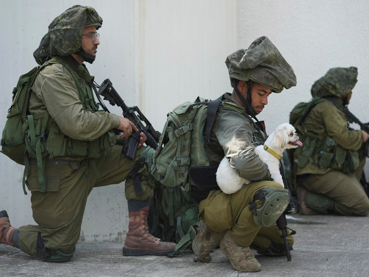 Израильская армия не подтвердила данные об обезглавленных младенцах