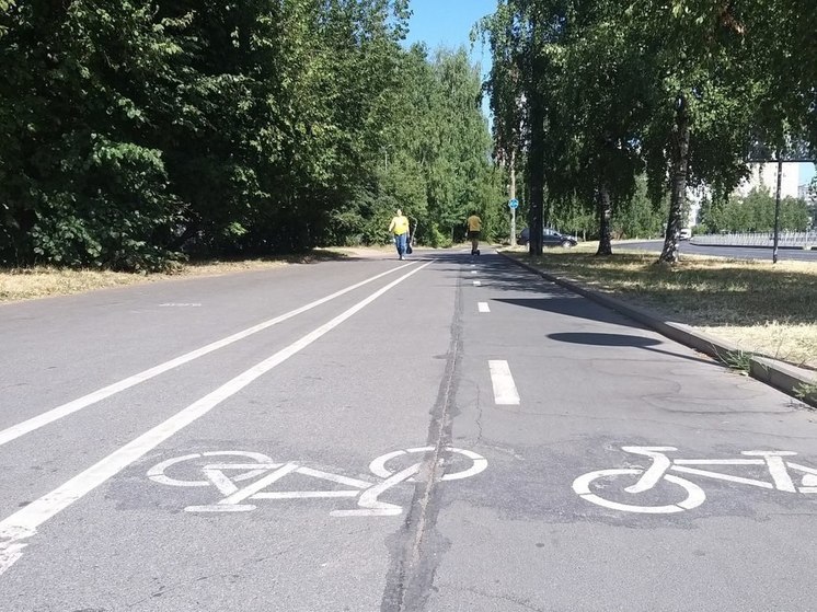 Велодорожки появятся на улице Галицкого в Калининграде