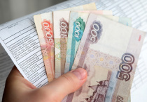 Максимальный лимит «анонимности» намерены повысить до 60 тысяч рублей

