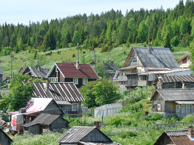 Полиция в Умбе ищет неизвестных, привязавших кошку к бамперу машины