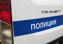 Полицейские задержали 35-летнего мужчину, который устроил стрельбу в поселке Усть-Луга в Ленобласти. Инцидент произошел недалеко от кафе в квартале «Ленрыба», пишет 78.ru.