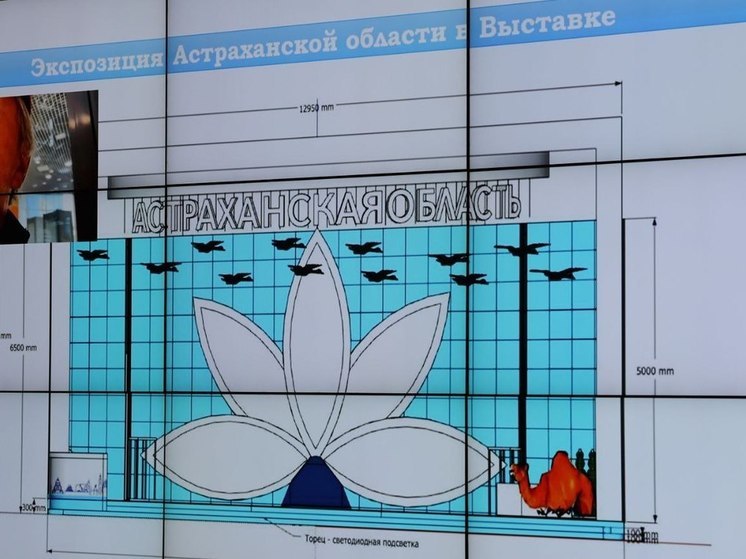 Стенд Астраханской области установят на Международной выставке до конца октября