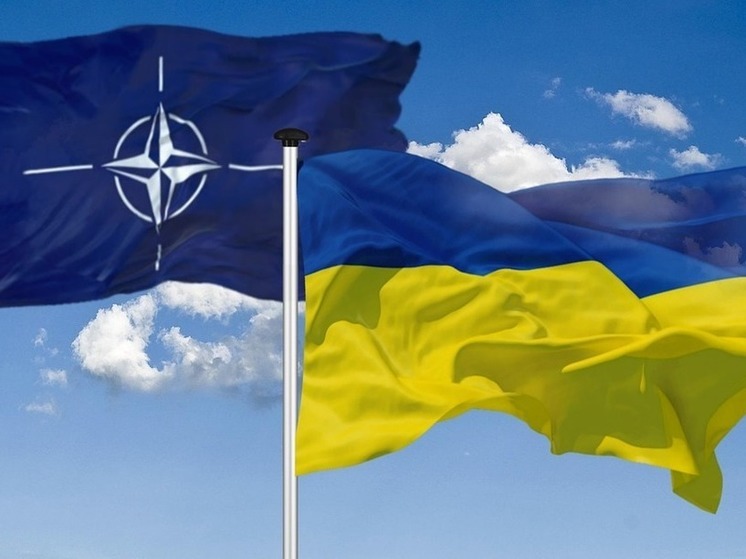 Совет НАТО — Украина обсудил приоритеты Киева для вступления в альянс