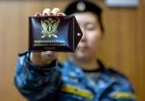 С начала года из Петербурга выдворили 2,3 тысячи мигрантов. Все иностранцы не имели российского гражданства – об этом стало известно по информации Федеральной службы судебных приставов.