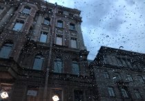 Погода в Петербурге в четверг окажется под влиянием тыловой части циклона. Ожидается облачность с небольшими дождями, рассказал синоптик Михаил Леус в своем telegram-канале.