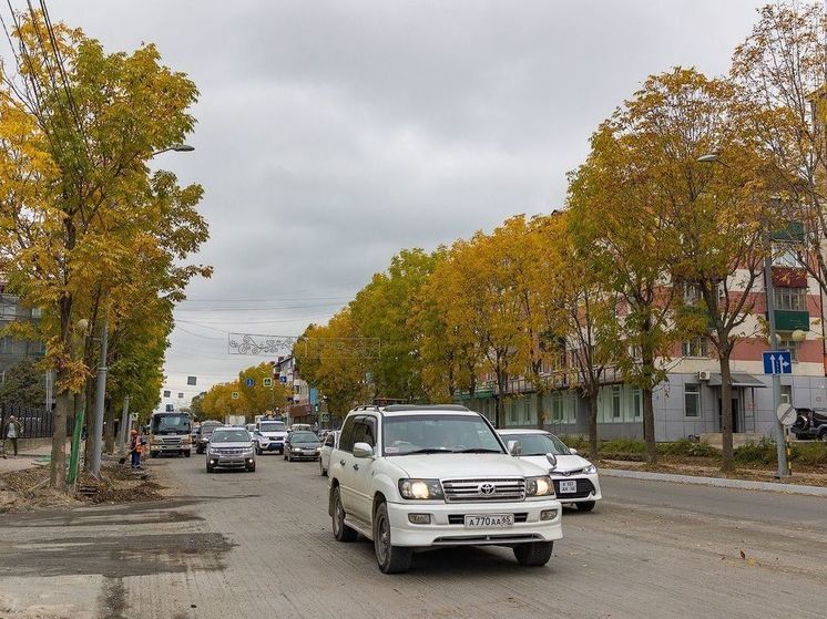 Обустройство дождеприемных колодцев пройдет на улице Ленина в Южно-Сахалинске