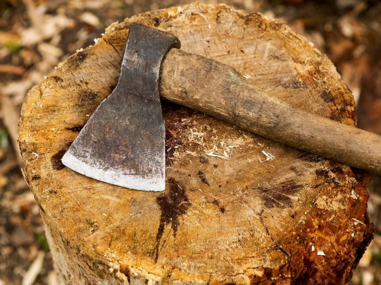 A child attacked a policeman with an ax in Bashkiria