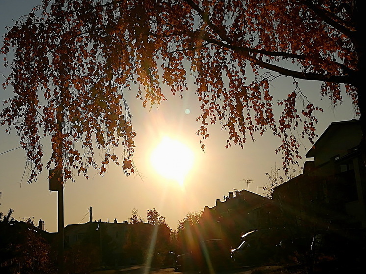 Снег на Покров 14 октября: верные приметы, по которым можно предсказать погоду на зиму