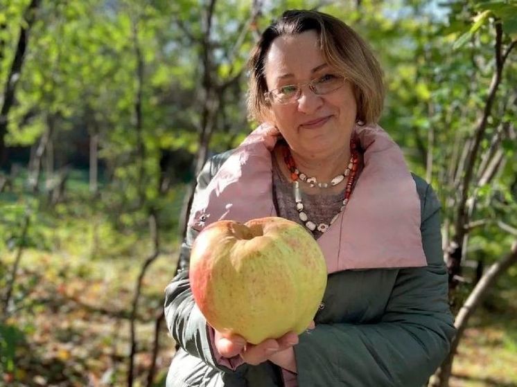 У жительницы Солнечногорска выросло яблоко весом почти 1 кг