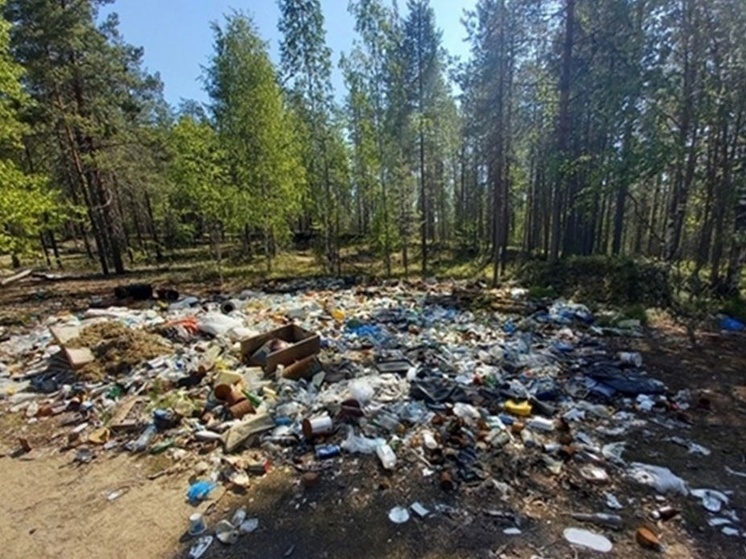 Огромную свалку мусора убрали в лесу в Карелии