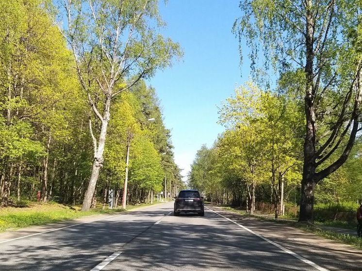 Калининградские власти потратят 259 млн рублей на освещение трасс