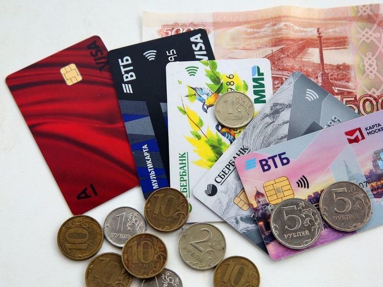 В Думе возмутились комиссией Wildberries при оплате Visa и Mastercard