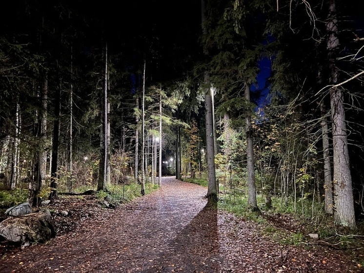 Парк в поселке Карелии закрыли из-за ветра