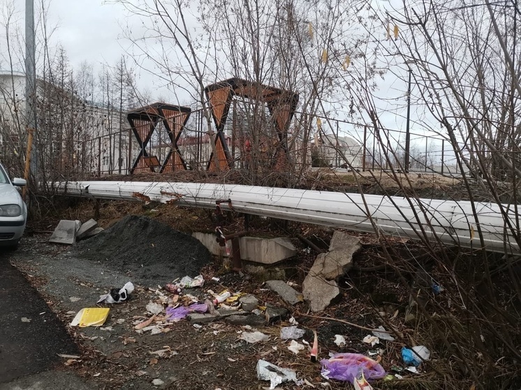 Жители Салехарда устроили свалку на месте снесенной мусорки