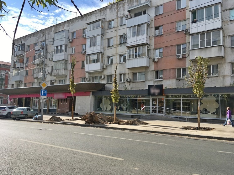 До исполнения пожелания Романа Бусаргине о посадке в Саратове 100 деревьев осталось всего 13 саженцев