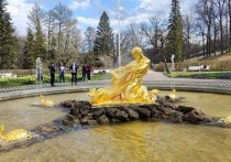 Посетители Петергофа смогут посмотреть на знаменитые фонтаны до 15 октября включительно. Так, они проработают еще три дня, сообщили в пресс-службе музея-заповедника.