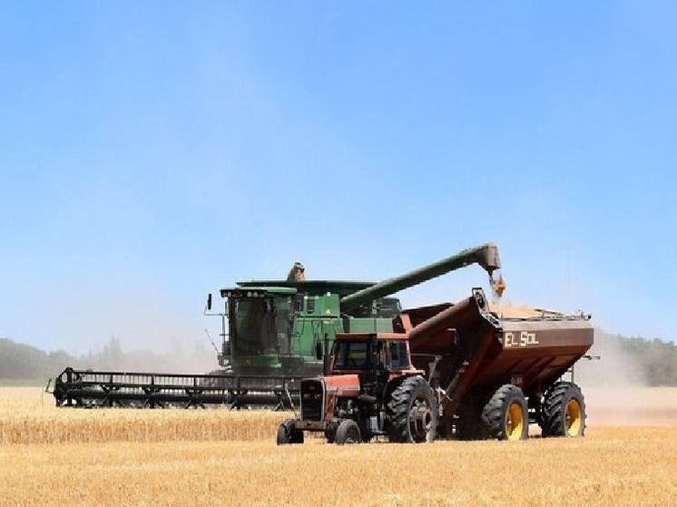 В Белгородской области аграрии намолотили 3 млн тонн зерновых и зернобобовых культур