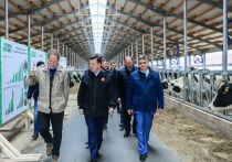 Новый комплекс ГК «ЭкоНива» входит в состав подразделения «Ступинская Нива», который производит сырое молоко