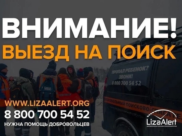 В Курской области вечером 12 октября ищут пропавшую в лесу женщину
