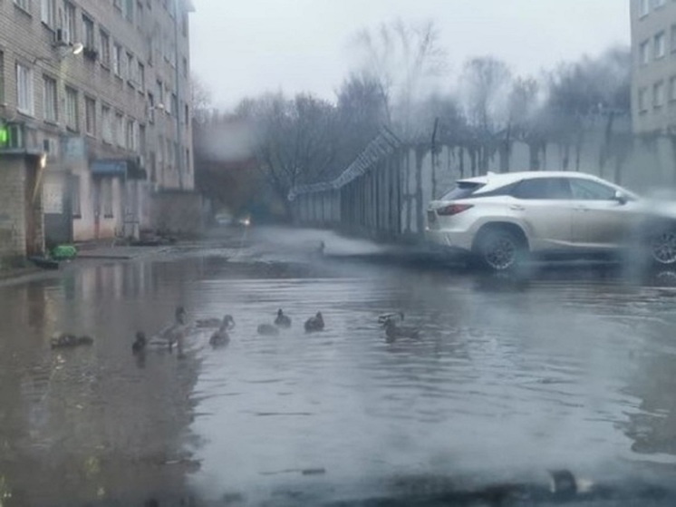 Ярославцы выложили в соцсетях фото лужи, которую жители Брагино зовут лужей-легендой