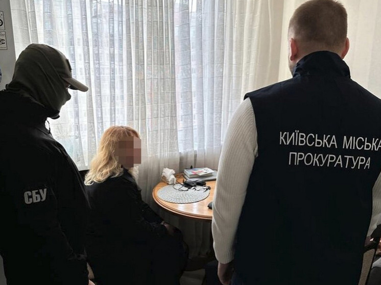 В Киеве арестовали чиновницу, которая вела Telegram-канал Азарова