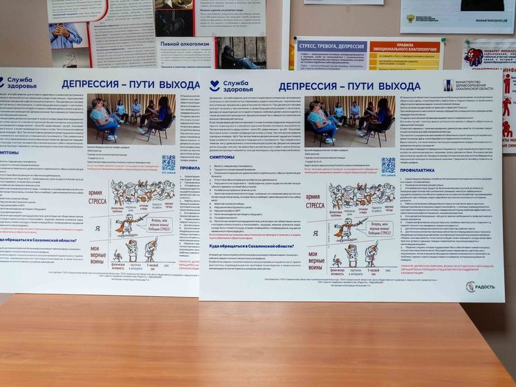 Медучреждения на Сахалине займутся профилактикой депрессии у пациентов