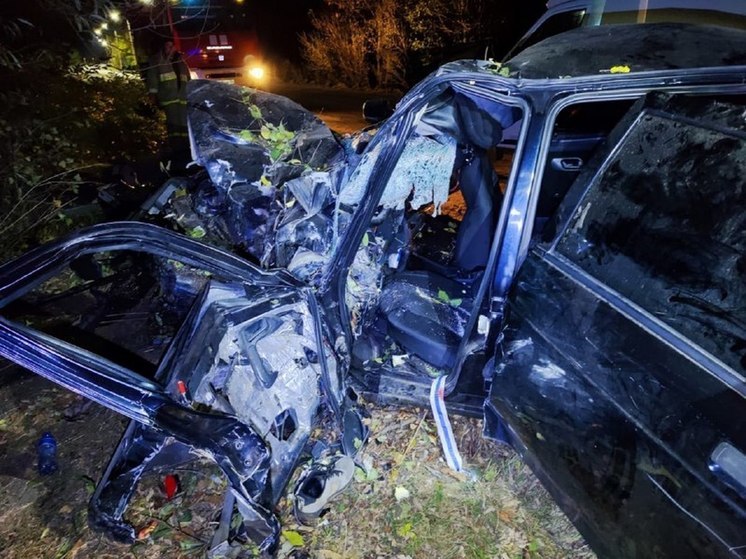 Под Воронежем погиб въехавший в дерево 23-летний водитель