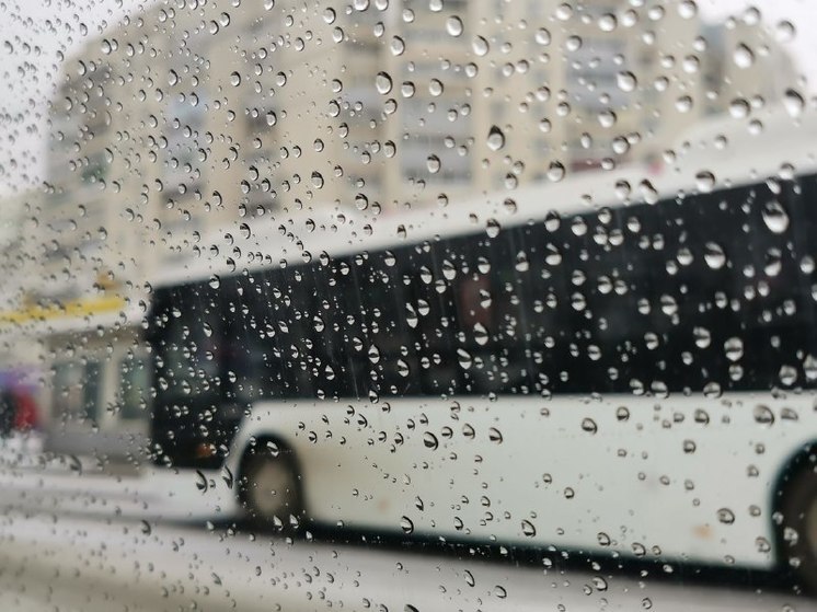 В Комсомольске-на-Амуре погода испортится с 15 по 16 октября