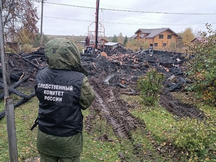Следком Карелии заинтересовал труп мужчины на пепелище в Медвежьегорском районе